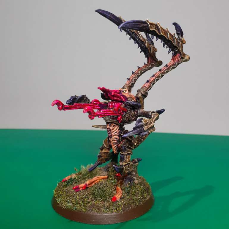 2nd edition Lictor