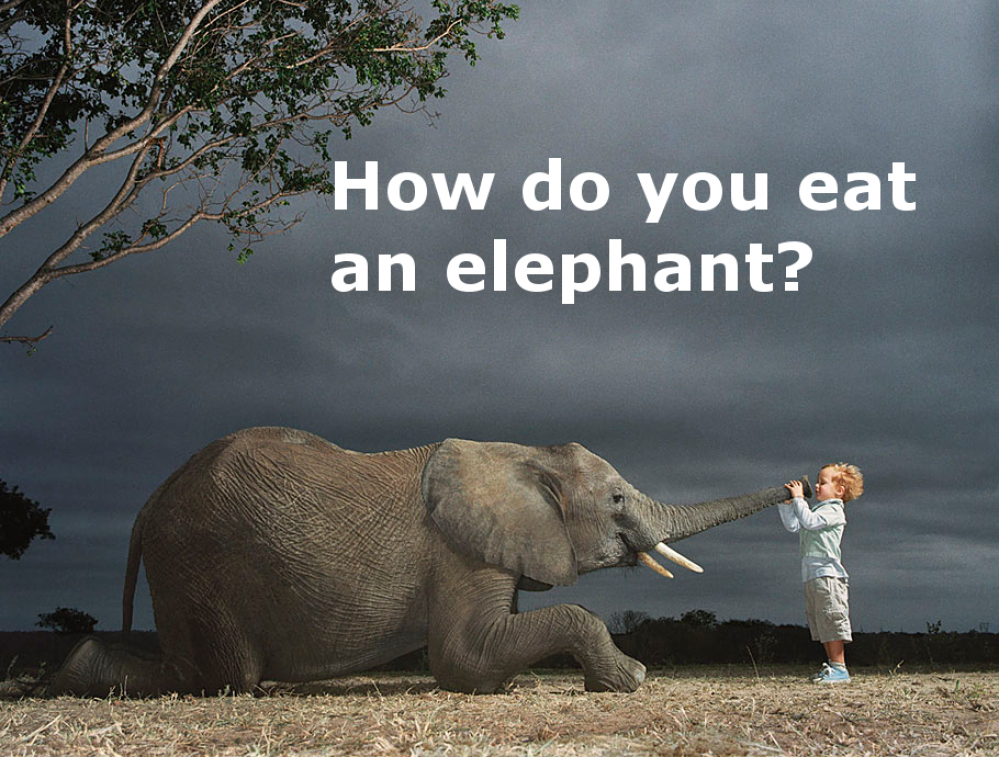 It's Time to eat the Elephant