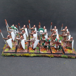 The rest of the wood elves of Doom