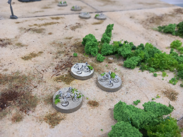 For scarif I've dug out my tropical boards sprinkled with some clump foliage.