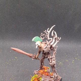 The rest of the wood elves of Doom