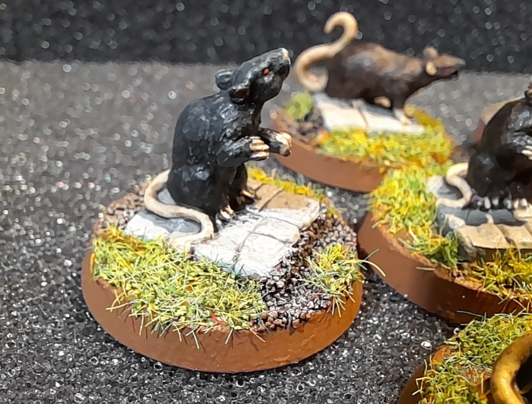 Giant Rats