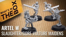 Unboxing: Slaughter & Gore-Vulture Maidens | Artel W Miniatures