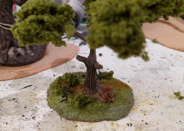 Test basing for the trees