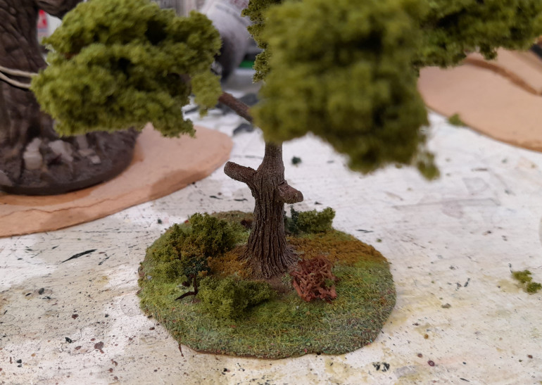 Test basing for the trees