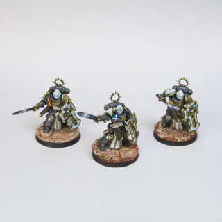 Space Marines - Bladeguard squad