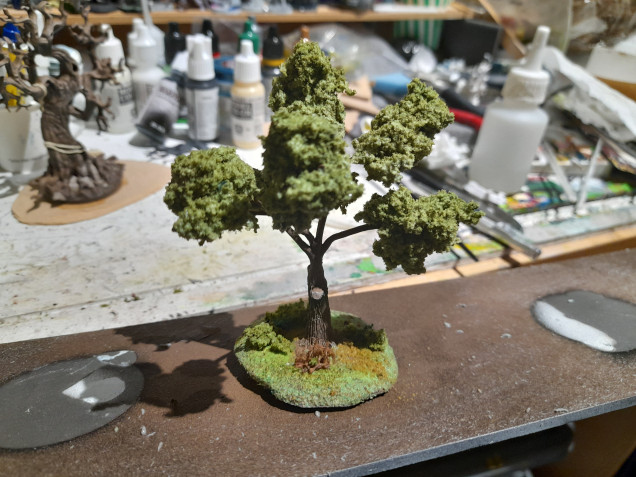 Test basing for the trees