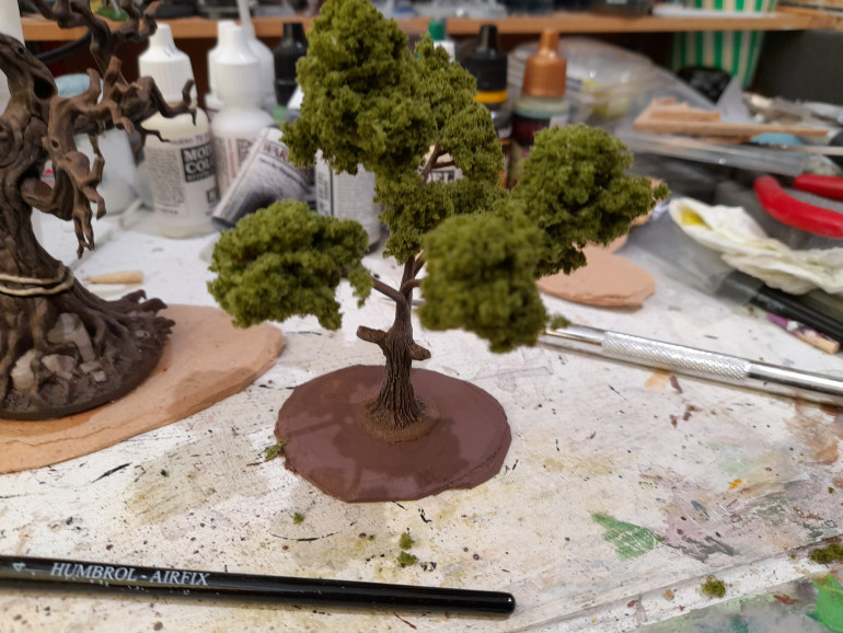 Test basing for the trees