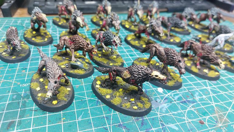 Direwolves done