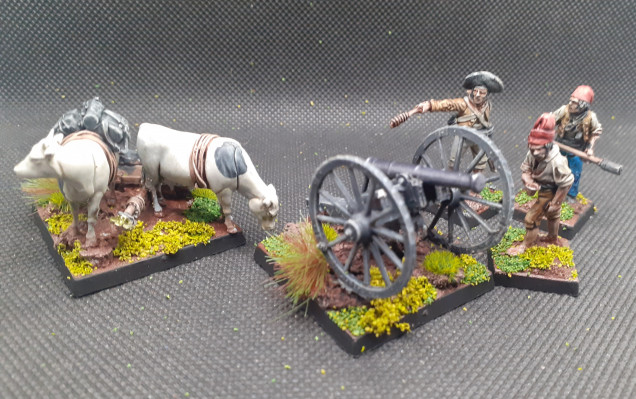 Last but not least is the pig, its called this as the cannon is cobbled together from scraps found on old battle fields, the limber lost its wheels and is dragged along by two cows as the horses were taken by the cavelry to fill the ranks. Although this unit is always low on ammunition its useful for turning the tide of a battle with a last minute blast of grape shot 