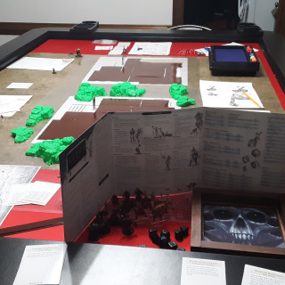 Dragon of Icespire Peak: Preparing for the Woodland Manse