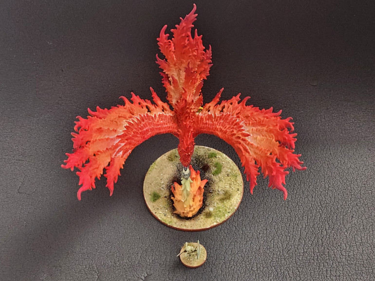 She's really a beautiful bird