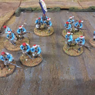 French Reinforcements