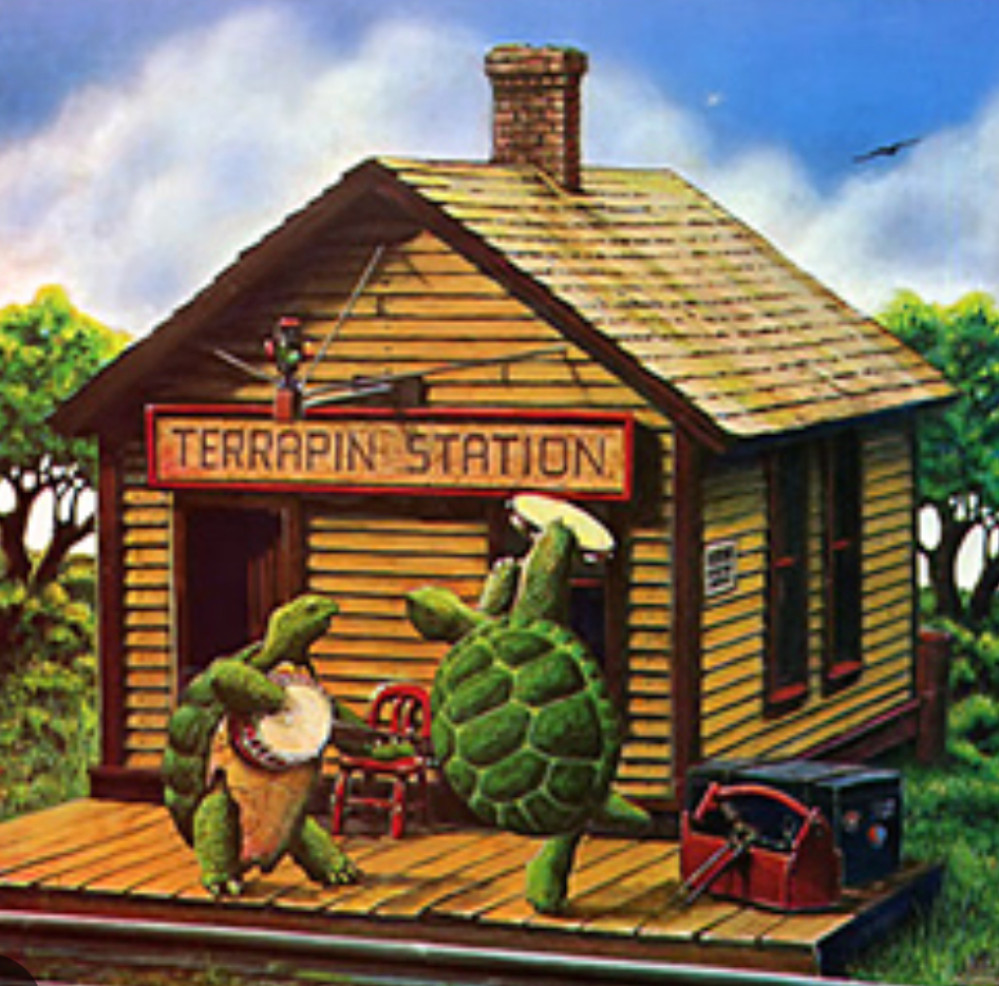 Teenage Mutant Ninja Turtles plus Rick and Morty!