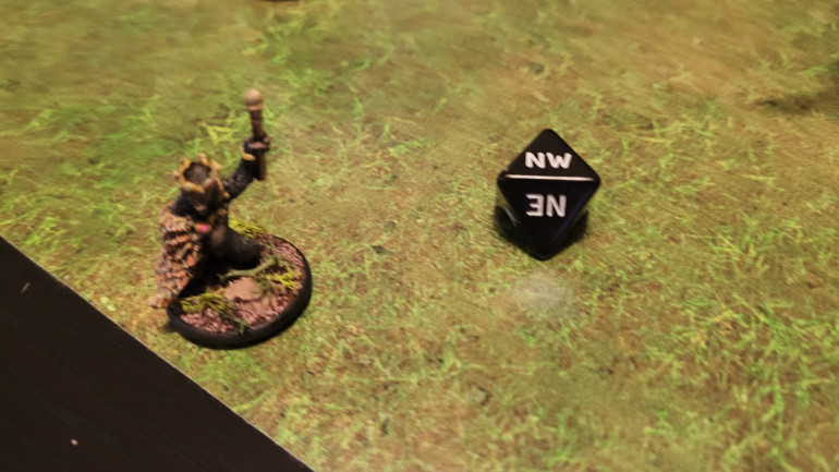 Rosko, moving too fast to be photographed clearly.