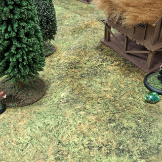 Beginning a campaign