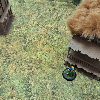 Beginning a campaign