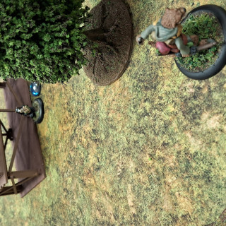 Beginning a campaign