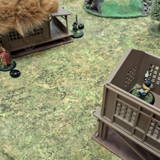 Beginning a campaign