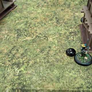 Beginning a campaign