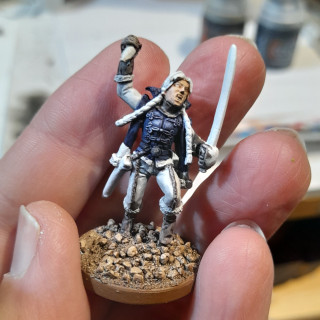 Female Vampire Hunter