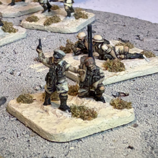 8th Army reinforced platoon - over 200 minis in 2025!