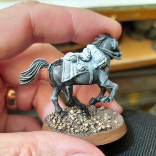 Mounted Leader – Richmond S Harpe