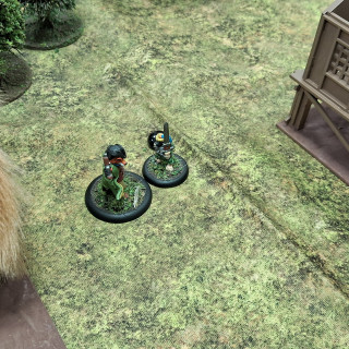 Beginning a campaign