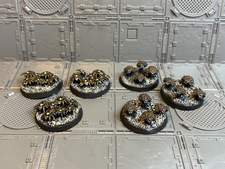 Scarabs and Spiders!