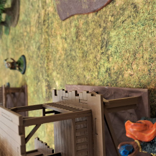 Beginning a campaign