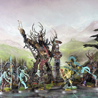 My Sixth Spearhead, The Sylvaneth, The Bitterbark Copse