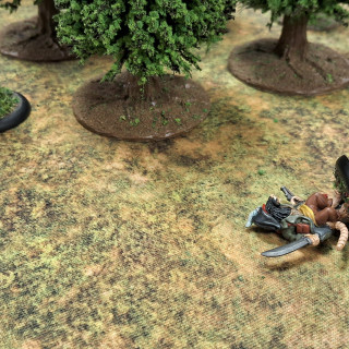 Beginning a campaign