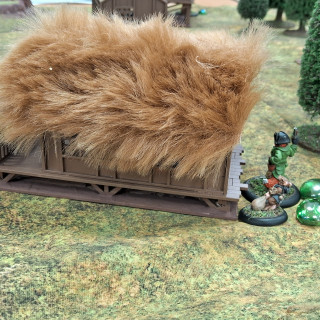 Beginning a campaign