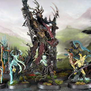 My Sixth Spearhead, The Sylvaneth, The Bitterbark Copse