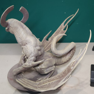 19 Mar 25: Dragon details