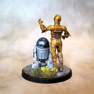 Welcome to the forest