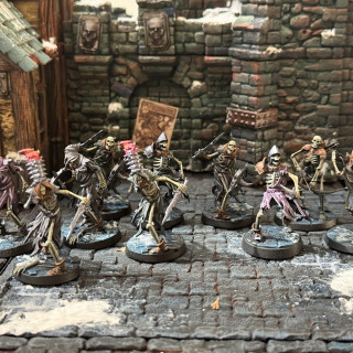 Painted minis for frostgrave update