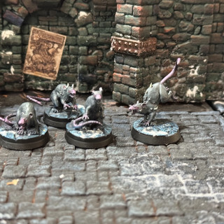 Painted minis for frostgrave update