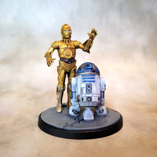 Welcome to the forest