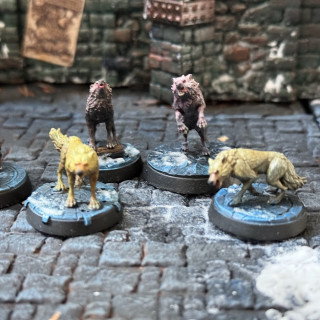 Painted minis for frostgrave update