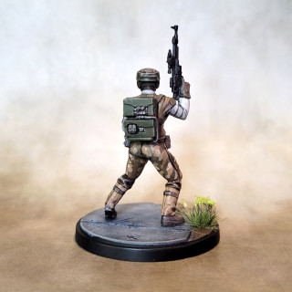 Welcome to the forest