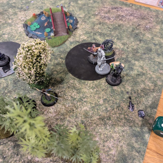 Battle Report No. 11