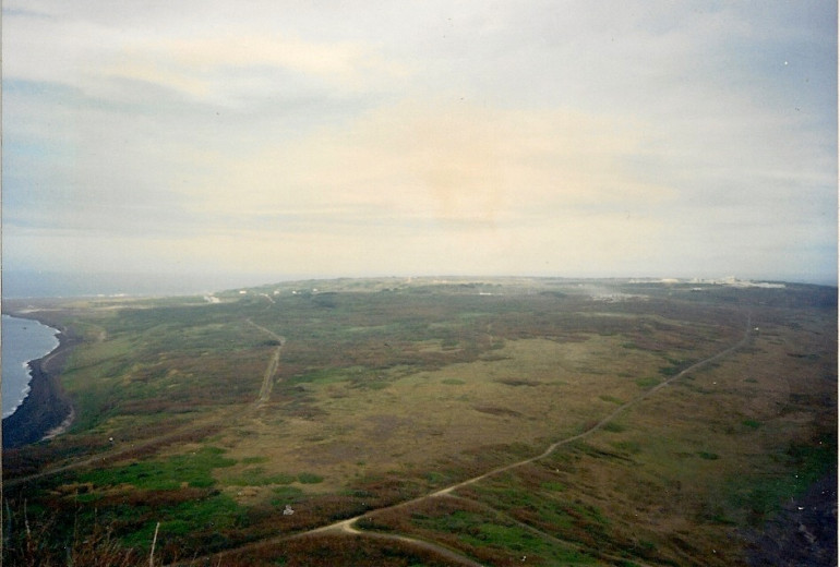 This and the next photo are the unedited original photos.  