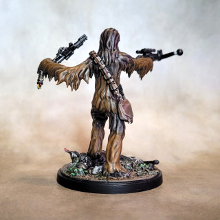 Welcome to the forest