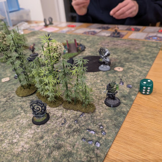 Battle Report No. 11