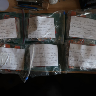 Day 1 – full of enthusiasm