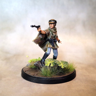 Welcome to the forest