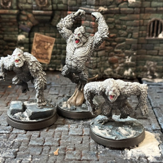 Painted minis for frostgrave update