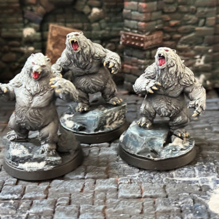 Painted minis for frostgrave update