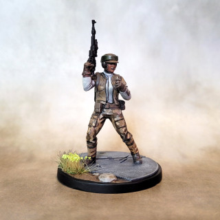 Welcome to the forest